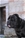 ABRAMO - Triola Cane Corso